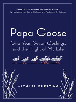 Papa Goose - ebook
